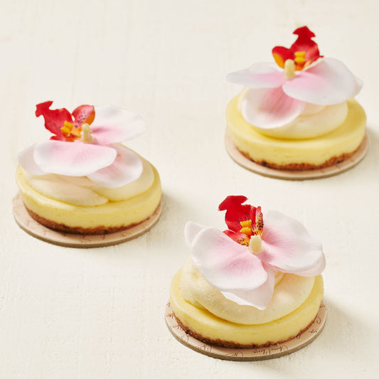 Floral Creamy Cheese Rounds